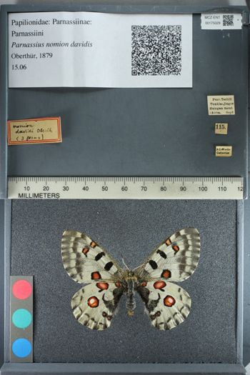 Media type: image;   Entomology 175029